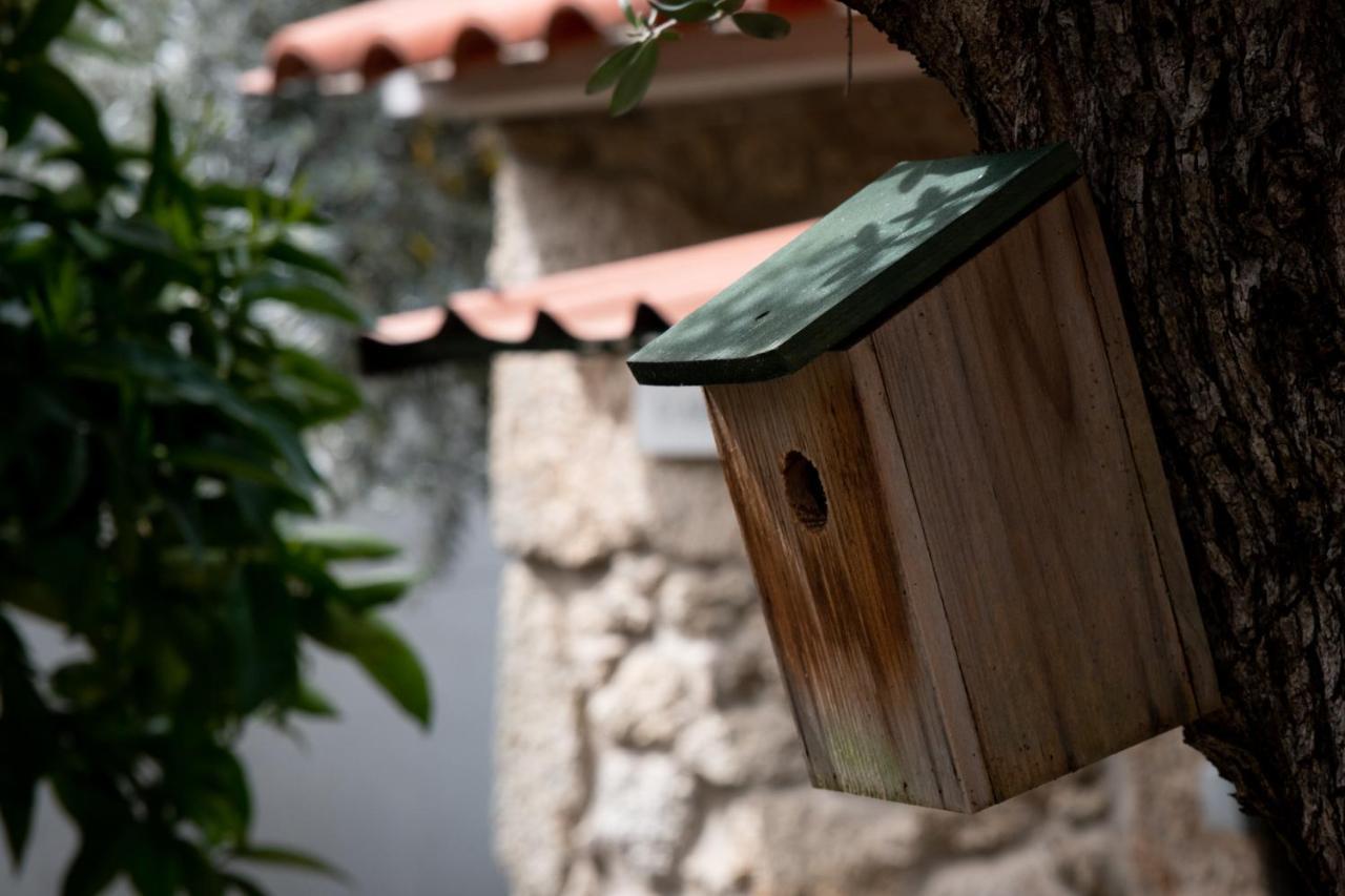 Casa Do Guardado Villa Monsanto Luaran gambar